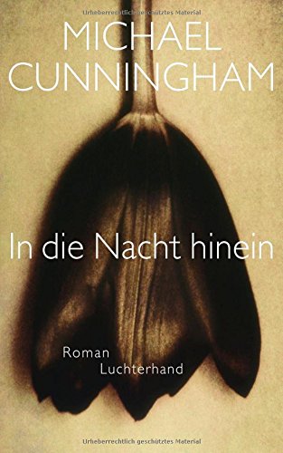 - In die Nacht hinein: Roman