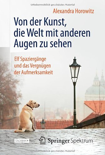 - Von der Kunst, die Welt mit anderen Augen zu sehen: Elf Spaziergänge und das Vergnügen der Aufmerksamkeit