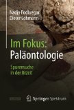  - Fossilien präparieren: Schritt für Schritt