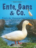 - Liebenswerte Langhälse: Über den artgerechten Umgang mit Gänsen