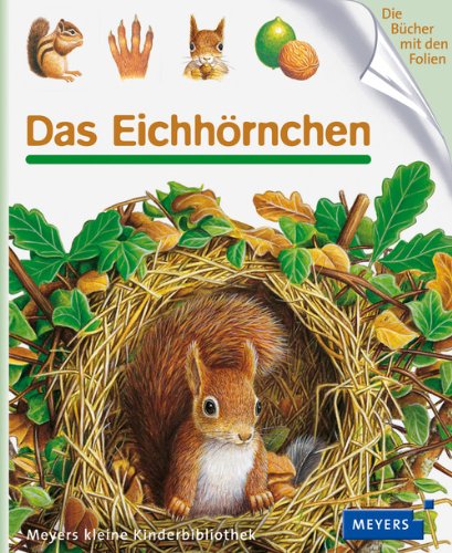  - Das Eichhörnchen