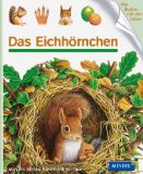  - Das Eichhörnchen