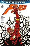 - Flash: Bd. 4 (2. Serie): Rogues Reloaded