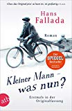 Fallada, Hans - Junge Liebe zwischen Trümmern: Erzählungen