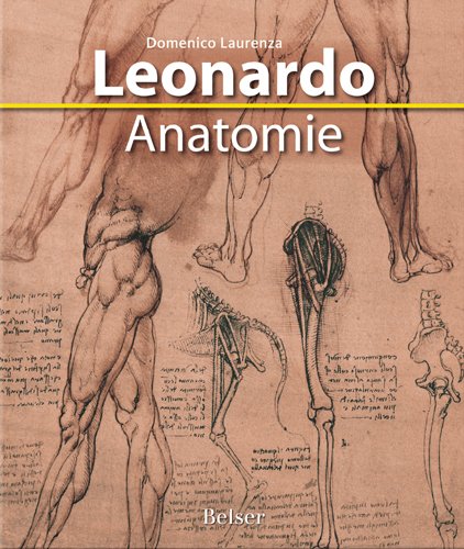  - Leonardo Anatomie
