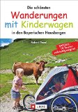  - Wandern mit dem Kinderwagen Inntal - Chiemgau - Berchtesgaden: 46 Touren zwischen Rosenheim und Salzburg