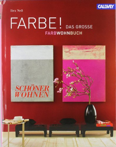 - FARBE !: Das große SCHÖNER WOHNEN Farbwohnbuch