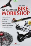  - Mountainbike: Alles, was du wissen musst