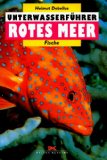  - Die Wunder der Unterwasserwelt, Rotes Meer