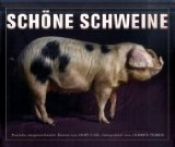  - Schöne Kühe