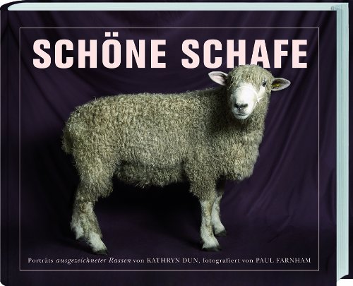  - Schöne Schafe