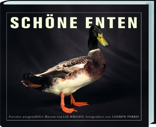 - Schöne Enten