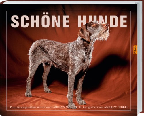 - Schöne Hunde