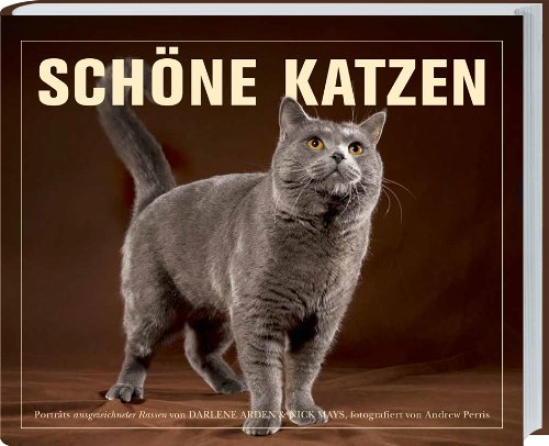  - Schöne Katzen