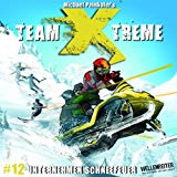 Team X-Treme Folge 13 - Das Singapur-Komplott