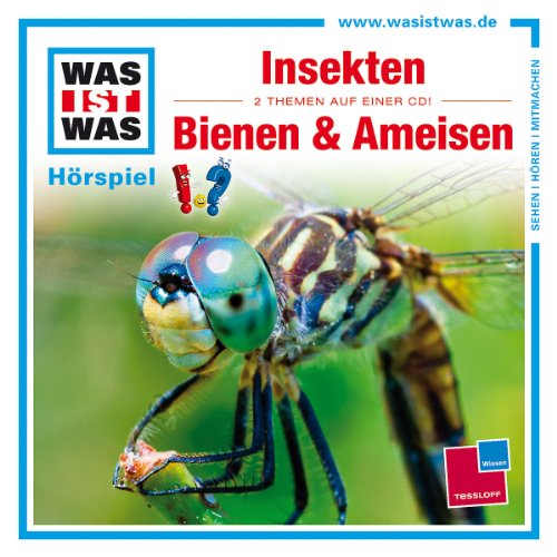 Was Ist Was - Folge 37: Insekten/Bienen und Ameisen