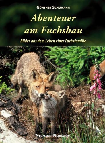  - Abenteuer am Fuchsbau: Bilder aus dem Leben einer Fuchsfamilie