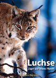  - Deutschlands wilde Tiere: Wo Adler, Dachs und Biber leben: Wo Adler, Luchs und Biber leben