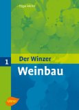 - Terroir: Wetter, Klima und Boden im Weinbau