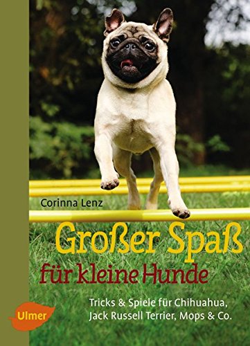  - Großer Spaß für kleine Hunde: Tricks & Spiele für Chihuahua, Jack Russell Terrier, Mops & Co.