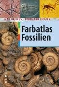  - Farbatlas Fossilien