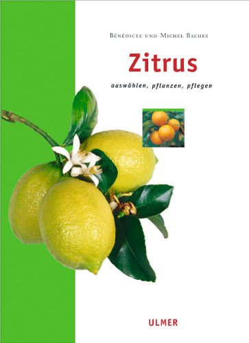 - Zitrus: Auswählen, pflanzen, pflegen