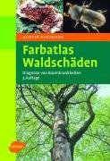  - Farbatlas Waldschäden: Diagnose von Baumkrankheiten