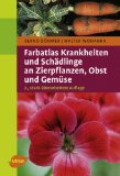  - Was fehlt meiner Gartenpflanze?: Krankheiten und Schädlinge erkennen und behandeln