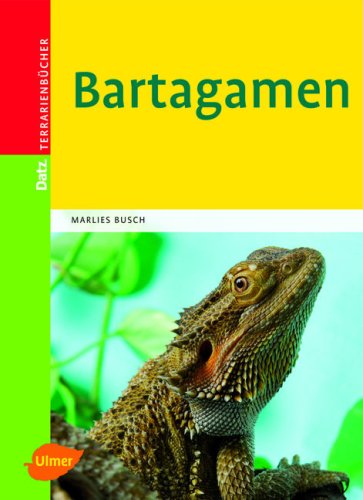  - Bartagamen