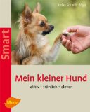  - Kleine Hunde richtig erziehen: Kompakt und auf den Punkt gebracht