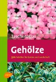  - Taschenatlas Ziergräser: 188 Arten kennen und verwenden