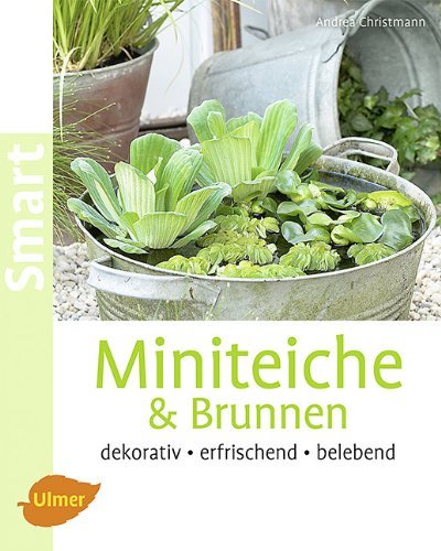 - Miniteiche und Brunnen: Dekorativ, erfrischend, belebend
