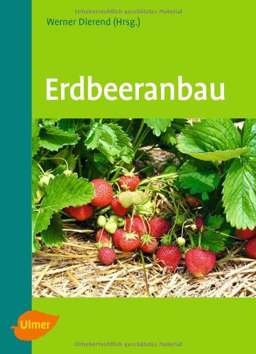 - Erdbeeranbau