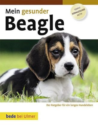 - Mein gesunder Beagle