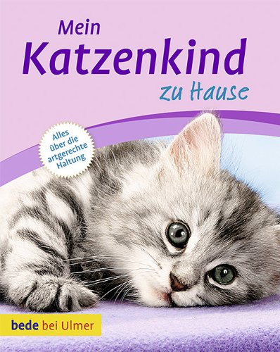 - Mein Katzenkind zu Hause