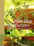  - Die Kräuter in meinem Garten