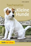  - Kleine Hunde (Tierratgeber)