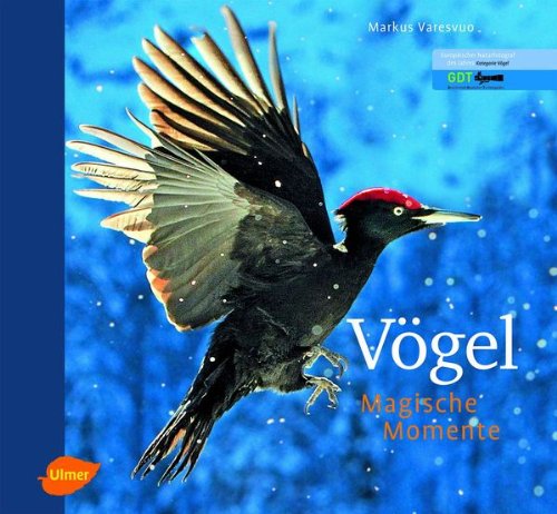  - Vögel - Magische Momente
