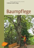  - Baumkontrolle unter Berücksichtigung der Baumart: Typische Schadsymptome und Auffälligkeiten