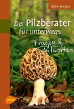  - Pilze zum Genießen...: Das Familien-Pilzbuch für Küche, Kreativität und Kinder