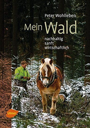  - Mein Wald: nachhaltig, sanft, wirtschaftlich