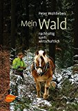  - Der eigene Wald: Privatwald optimal bewirtschaften