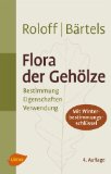  - Baumpflege: Baumbiologische Grundlagen und Anwendung