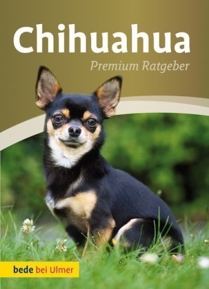 - Chihuahua: Premium Ratgeber