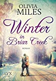  - Weihnachten in Briar Creek