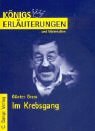 - Königs Erläuterungen und Materialien, Bd.416, Im Krebsgang
