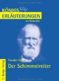 DVD - Der Schimmelreiter (Theodor Storm) (Remastered)