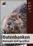 Saake, Gunter / Sattler, Kai-Uwe / Heuer, Andreas - Datenbanken: Implementierungstechniken (mitp Professional)