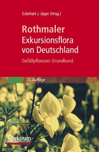  - Rothmaler - Exkursionsflora von Deutschland. Gefäßpflanzen: Grundband