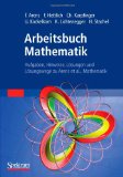  - Arbeitsbuch zu Tipler/Mosca Physik für Wissenschaftler und Ingenieure